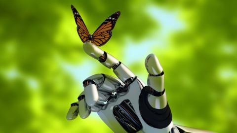 Kategorie Naturwissenschaft und Technik der Volkshochschule Schwyz