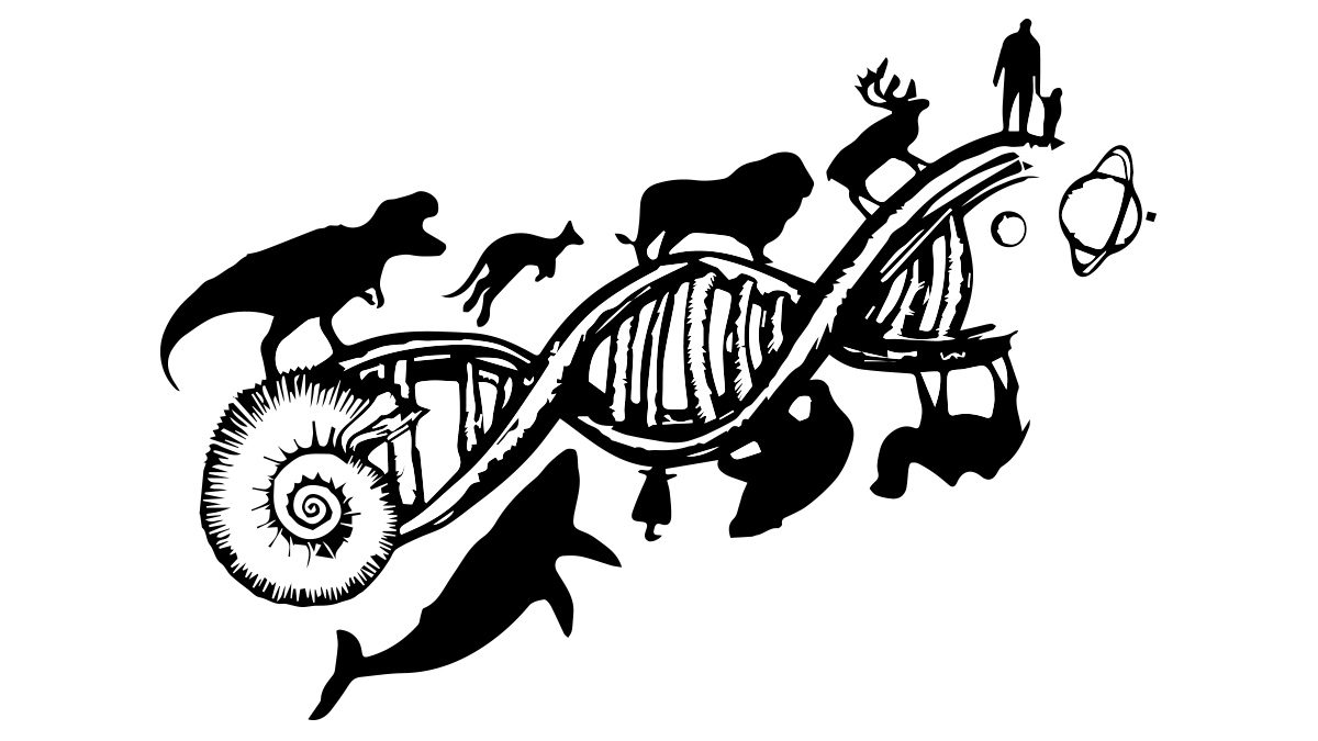 Evolution Volkshochschule Schwyz